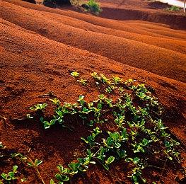 Steam开启农历新年特卖 《完蛋！我被美女包围了！》新史低